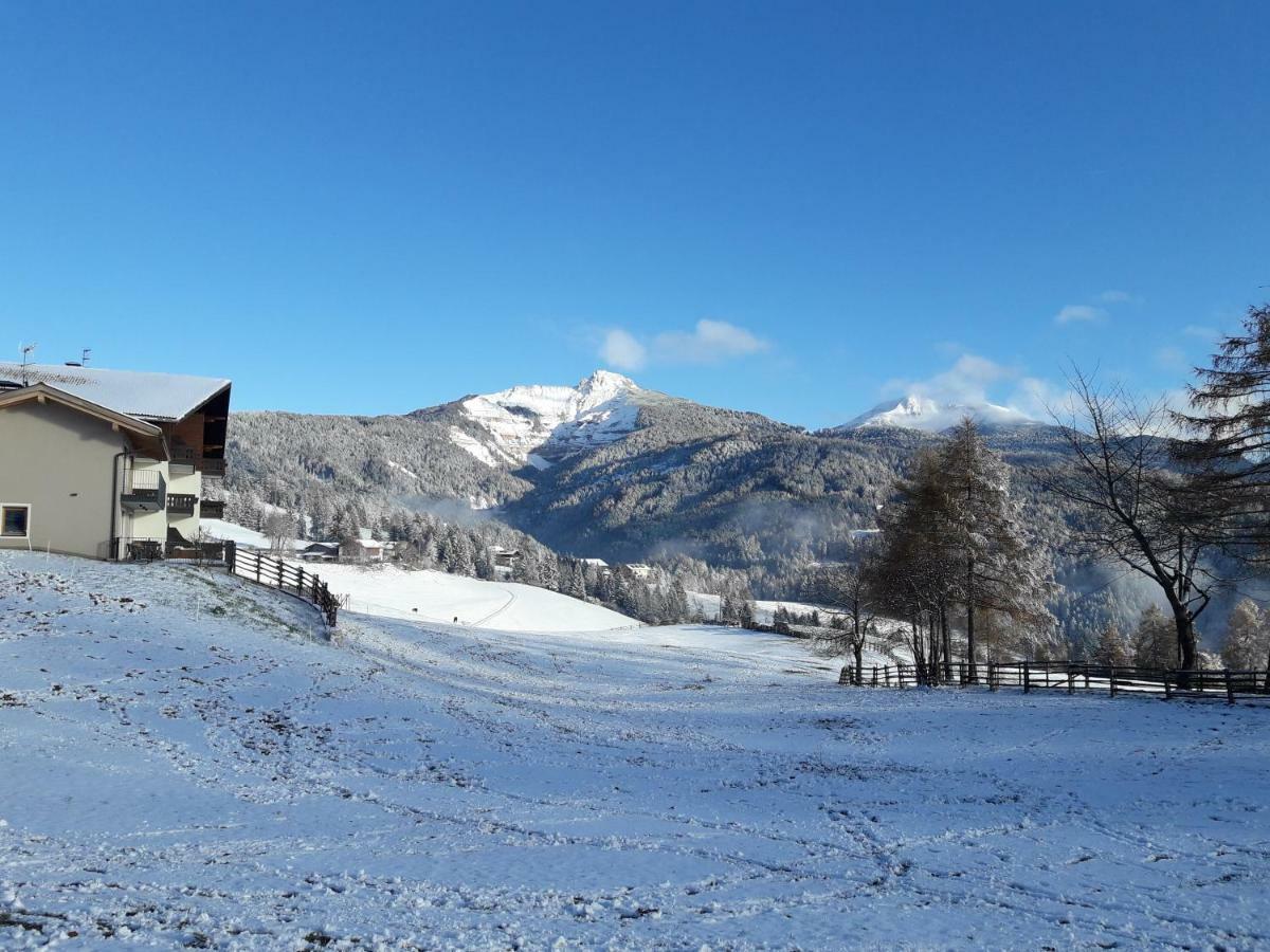 Residence Scheidnerhof ألدينو المظهر الخارجي الصورة
